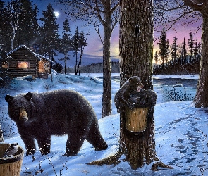Zima, Śnieg, Drzewa, Niedźwiedzie, Ptaszek, Chatka