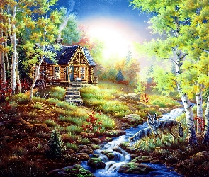 Rzeczka, Las, Domek