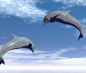 Delfiny, Chmury, Dwa