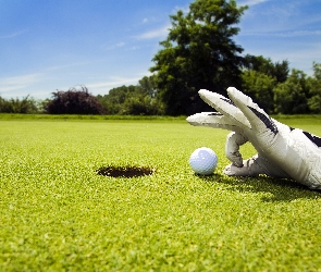 Ręka, Rękawiczka, Golf
