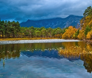 Lasy, Góry, Jezioro