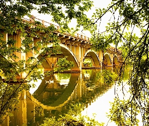 Most, Drzewa, Gałęzie, Rzeka