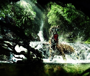 Małpa, Krew, Gepard