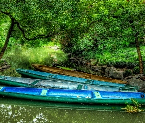 Drzewa, Kajaki, Jezioro