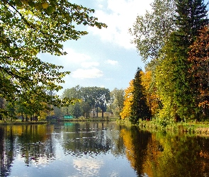 Drzewa, Jezioro, Park, Jesień