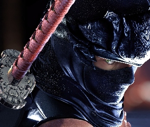 Ryu Hayabusa, Ninja Gaiden