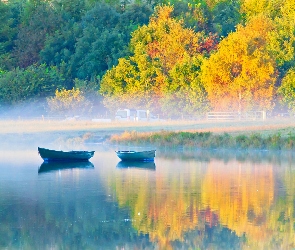 Jezioro, Drzewa, Łódki