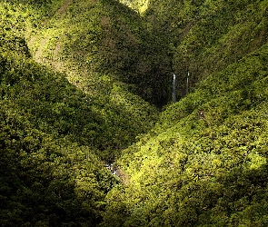 Góry, Hawaje, Kauai, Las, Wodospad