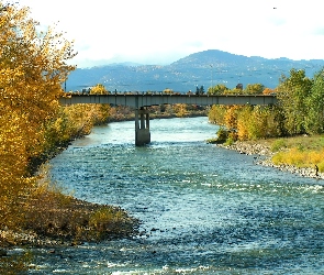 Most, Drzewa, Rzeka
