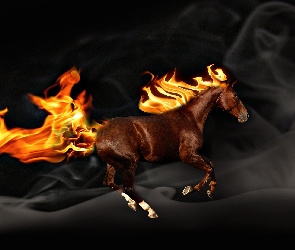 Koń, Ogień, Galop