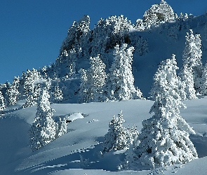 Niebo, Śnieg, Góry, Drzewa