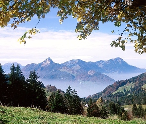 Ibergeregg, Trawa, Góry, Drzewa, Szwajcaria