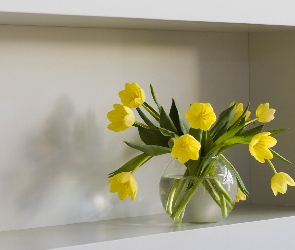 Żółte, Tulipany