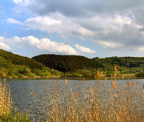 Lasy, Jesień, Jezioro