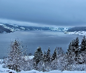 Góry, Norwegia, Jolstravatnet, Drzewa, Zima Jezioro
