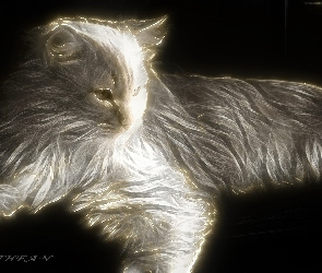 Kot, Fractalius