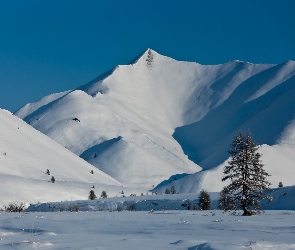 Śnieg, Drzewo, Niebo, Góry