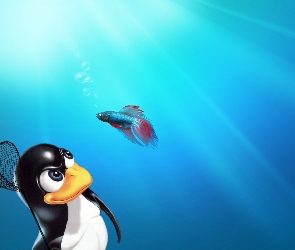 Pingwin, Linux, Bojownik, Ryba