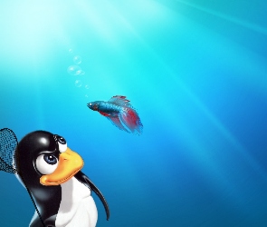 Linux, Bojownik, Pingwin, Ryba