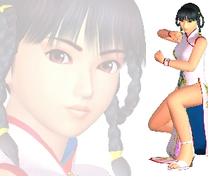 Dead Or Alive 3, Lei Fang