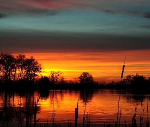 Jezioro, Zachód Słońca, Drzewa, Szuwary