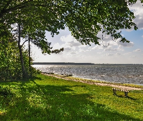 Zieleń, Drzewo, Jezioro, Ławka