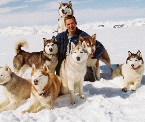 Mężczyzna, Siberian Husky, Zima