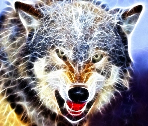 Wilk, Fractalius