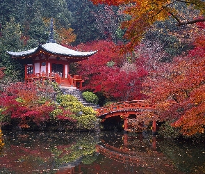 Kyoto, Mostek, Woda, Park