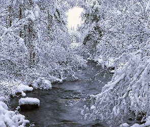 Ośnieżone, Drzewa, Rzeczka