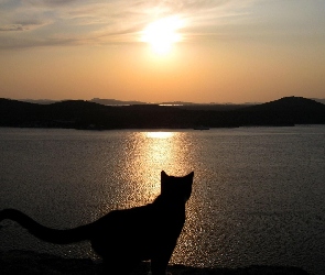 Kot, Góry, Zachód słońca, Jezioro