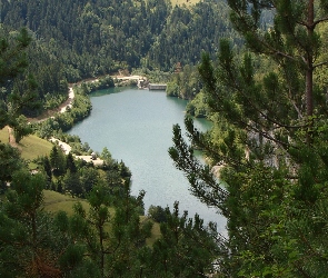 Las, Jezioro