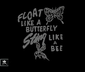 pszczoła, motyl, Adidas