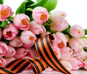 Różowe, Wstążka, Tulipany
