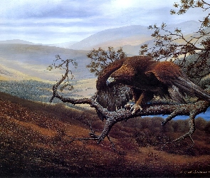 Art, Drzewao, Orzeł, Góry