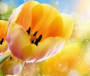 Tulipany, Grafika, Żółte