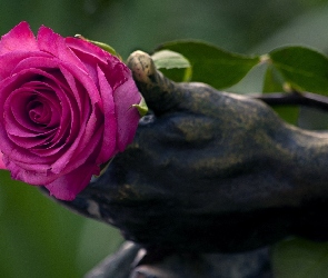 Różowa, Posąg, Dłoń, Róża