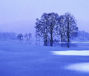 Jezioro, Zamarznięte, Drzewa, Zima
