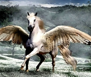 Pegaz, Fantasy, Skrzydła
