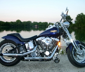 Motor, Harley-Davidson Springer