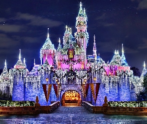 Disneyland, Roszpunki, Świąteczny, Zamek