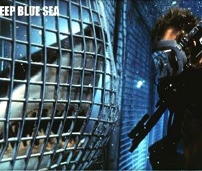 rekin, nurek, Deep Blue Sea