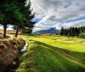 Pole, Chmury, Las, Golfowe, Łąka