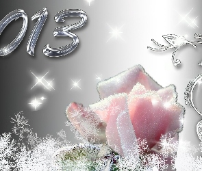Nowy Rok 2013, Róża