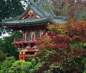 Dom, Drzewa, Zdobienia, Japonia, Złote