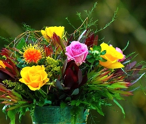 Kwiatów, Wiadro, Bukiet