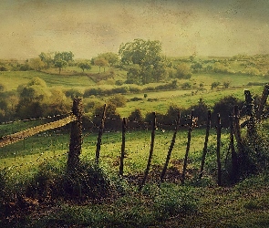 Łąka, Drzewa, Krzewy, Płotek, Krajobraz
