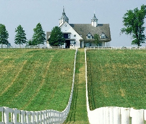 Pola, Płot, Domek, Biały