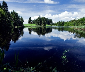 Jezioro, Niebo, Las, Trawa