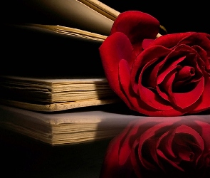 Kompozycja, Książki, Czerwona, Róża